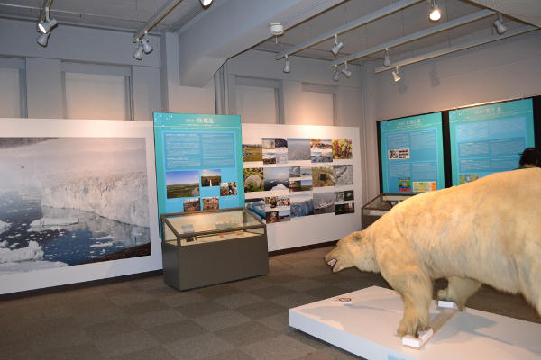 「北大北極域研究センター」の展示 (1)